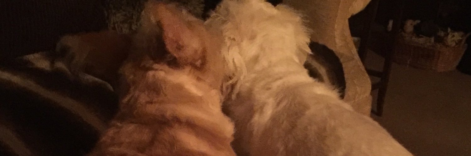 K3llyJF's profile banner image