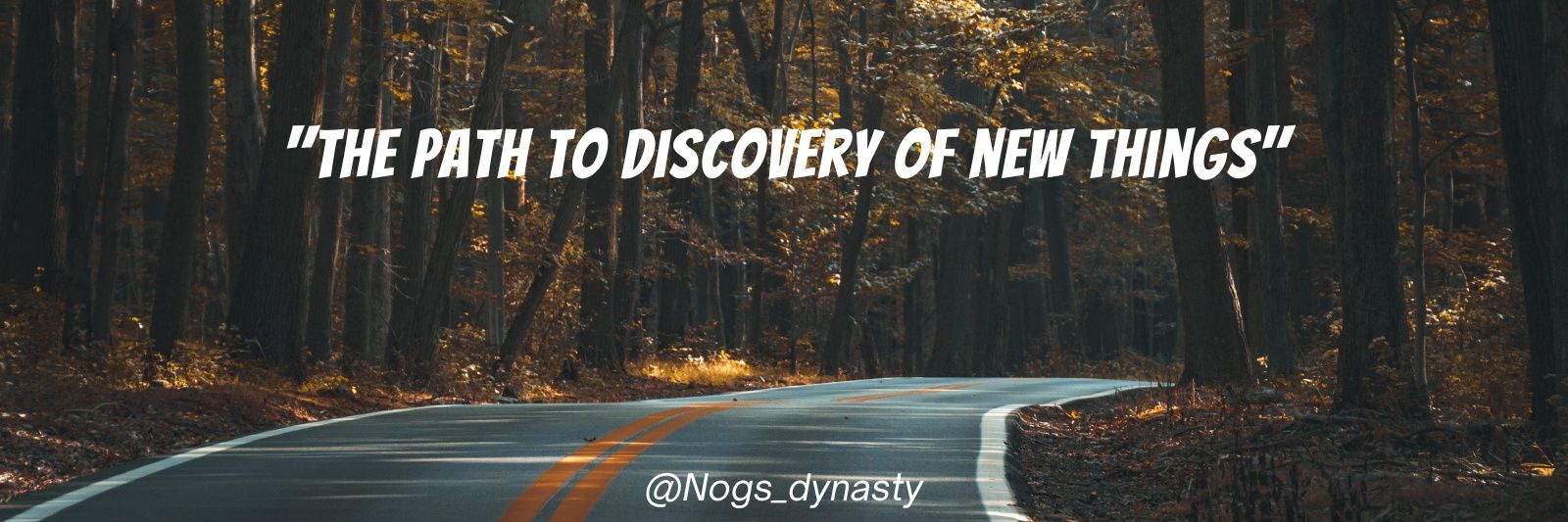NOGS banner