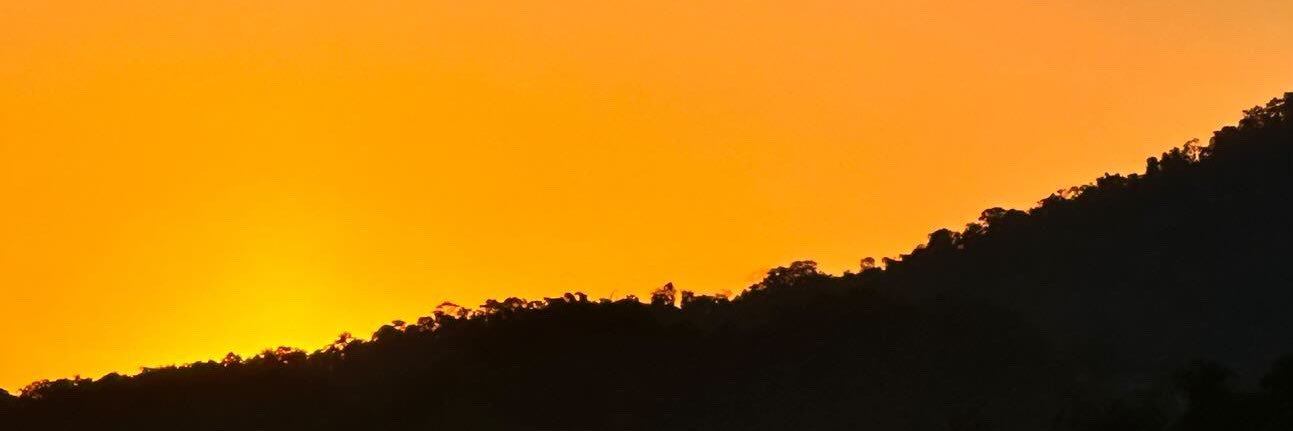 clararamoss1's profile banner image