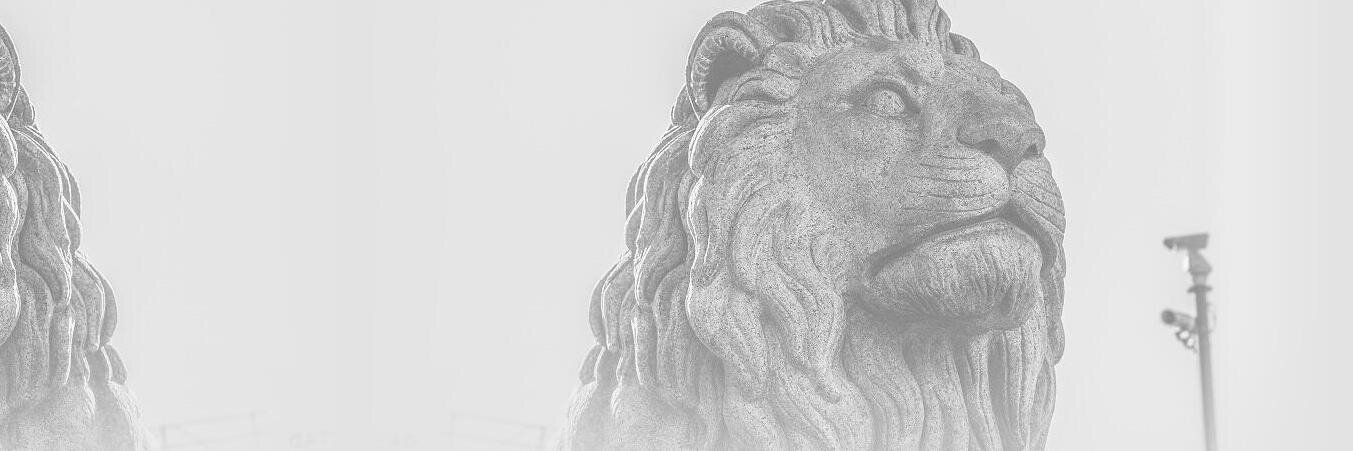 holderdeord's profile banner image