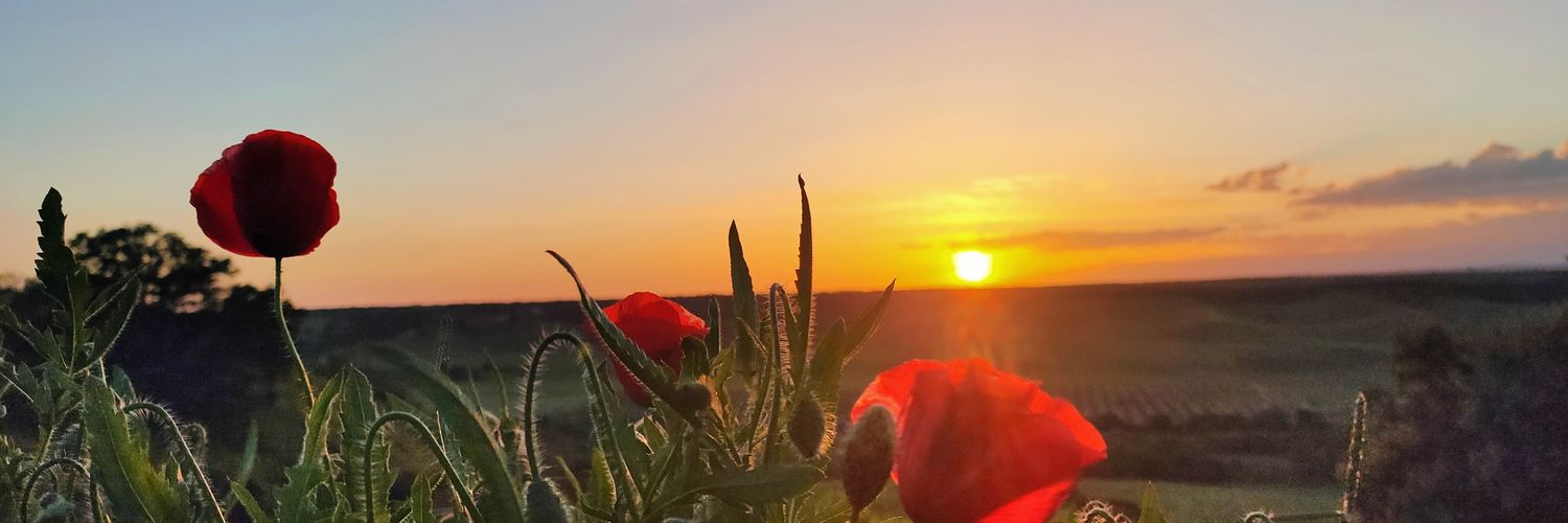 estersanchezmar's profile banner image
