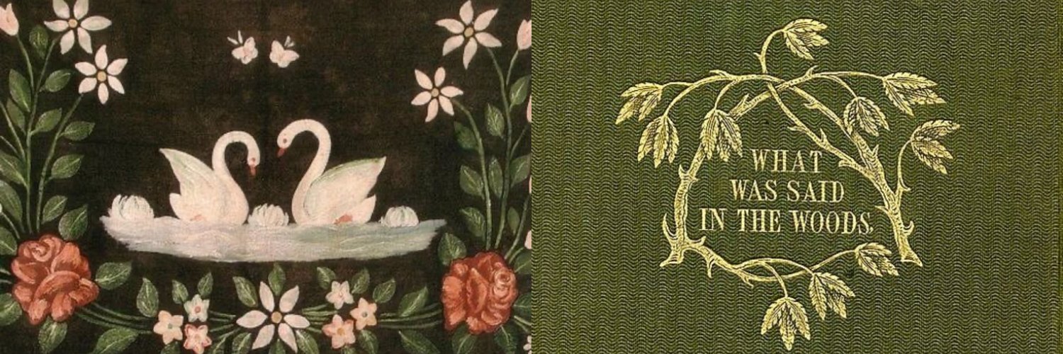 ofpixia's profile banner image