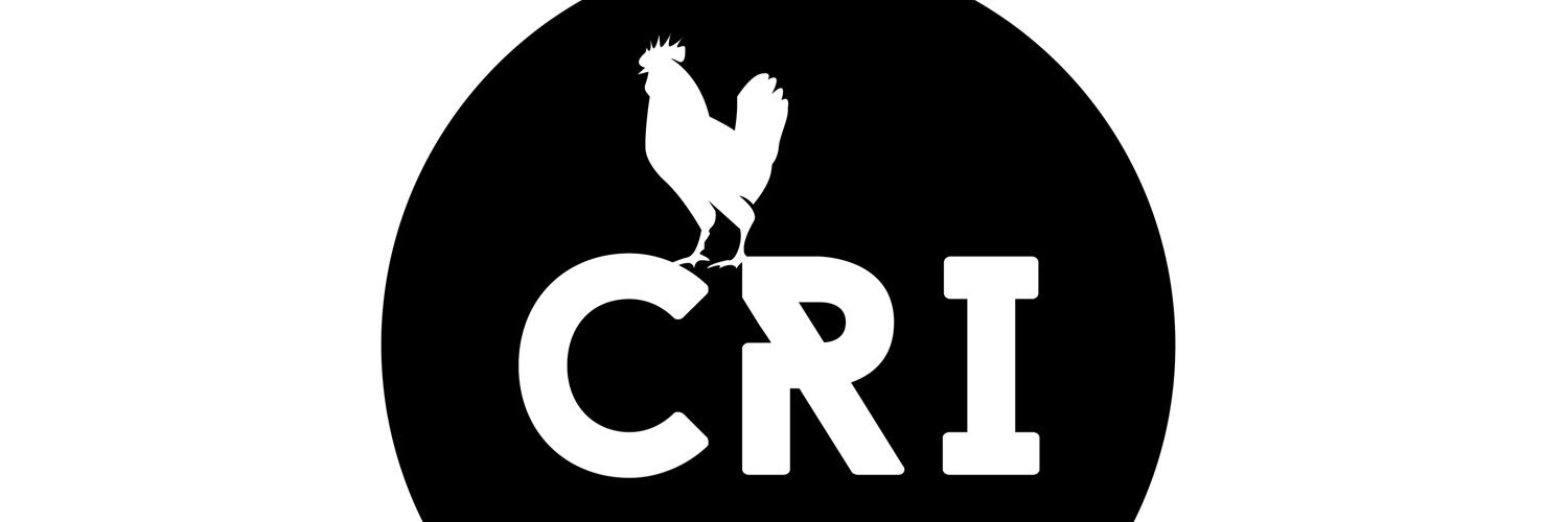 Giro d'Italia banner