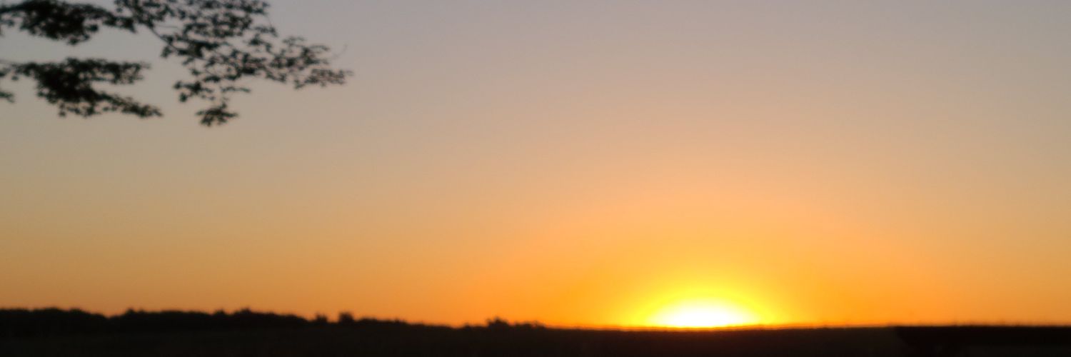 Laura's banner