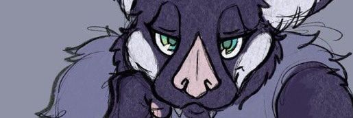 JuneBug The Bat banner