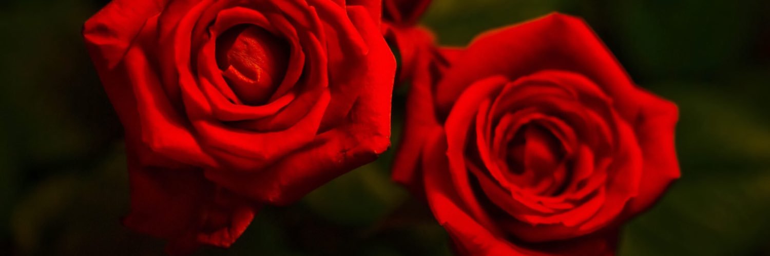 sew2267_'s profile banner image