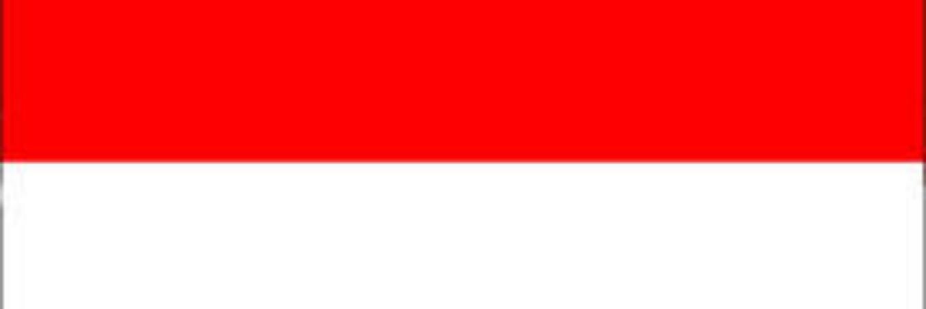 OSIS_SMABA's profile banner image