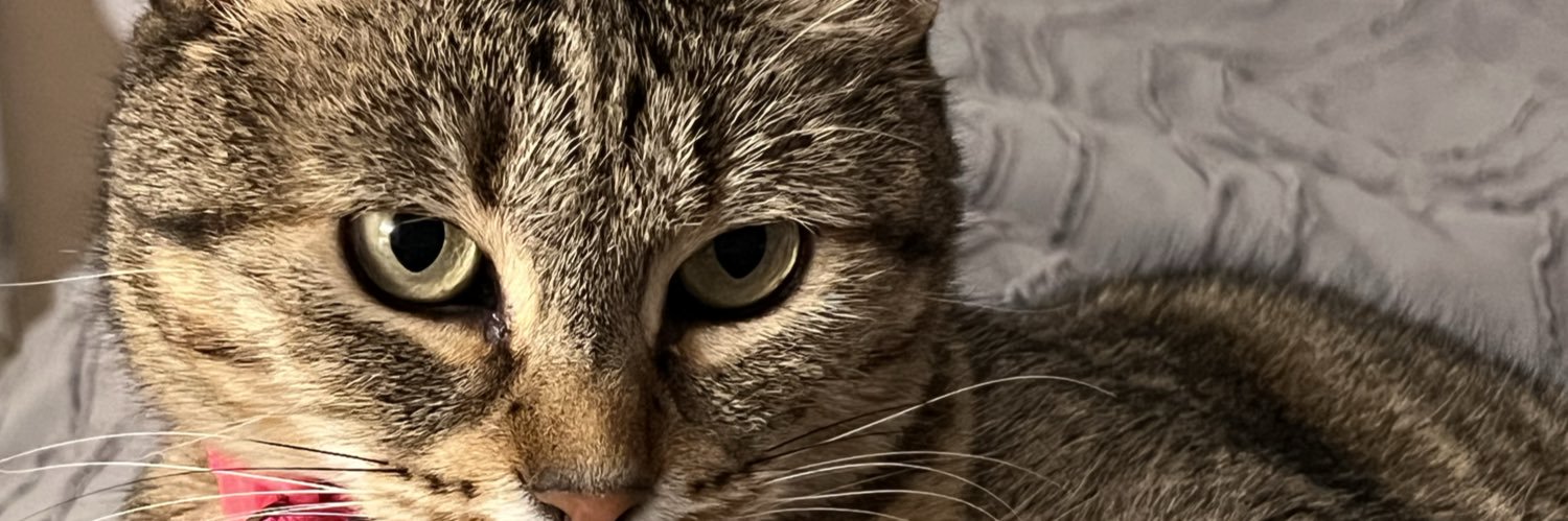 Monica2781's profile banner image