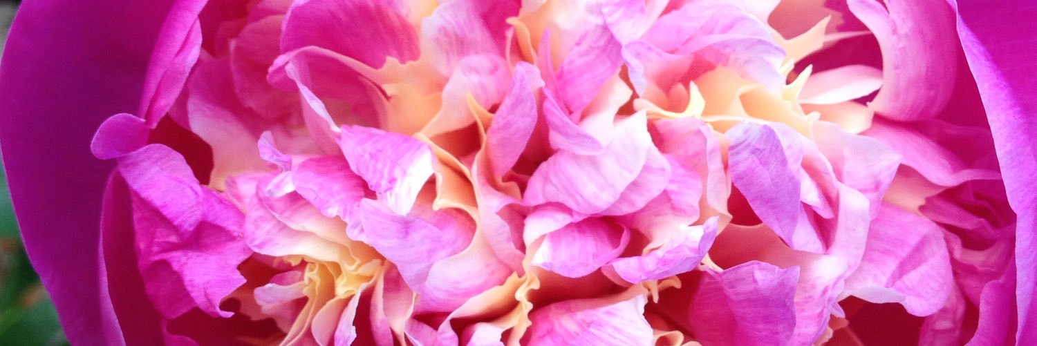 PamRostron's profile banner image