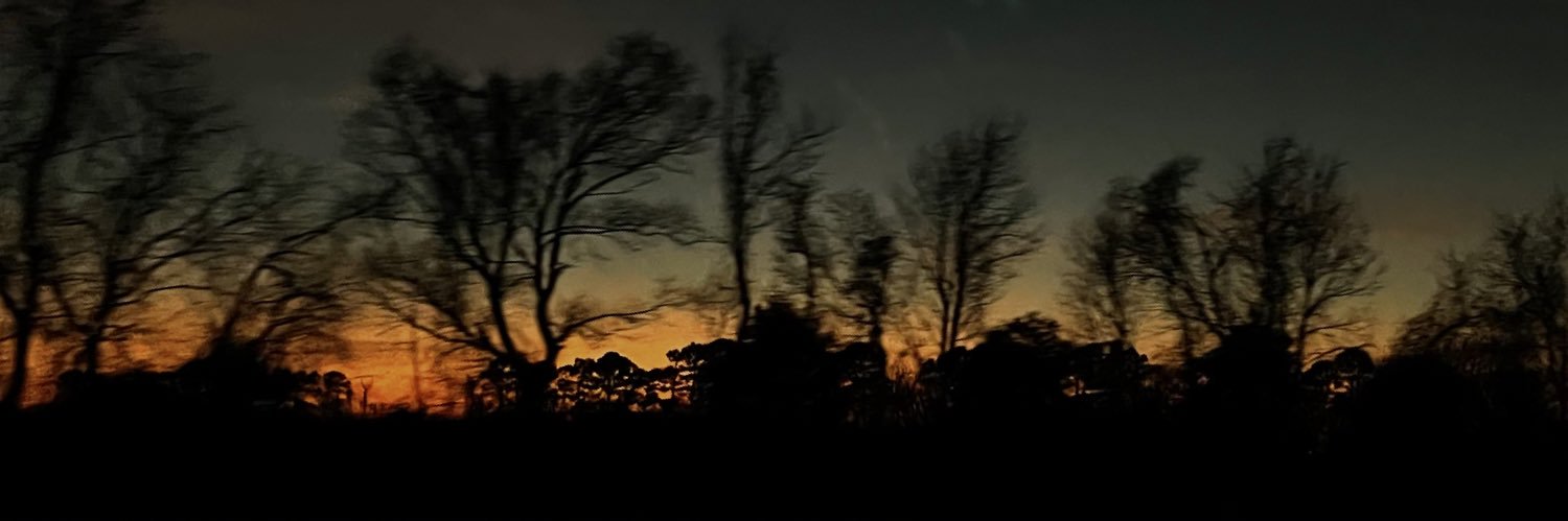 amandashernam's profile banner image