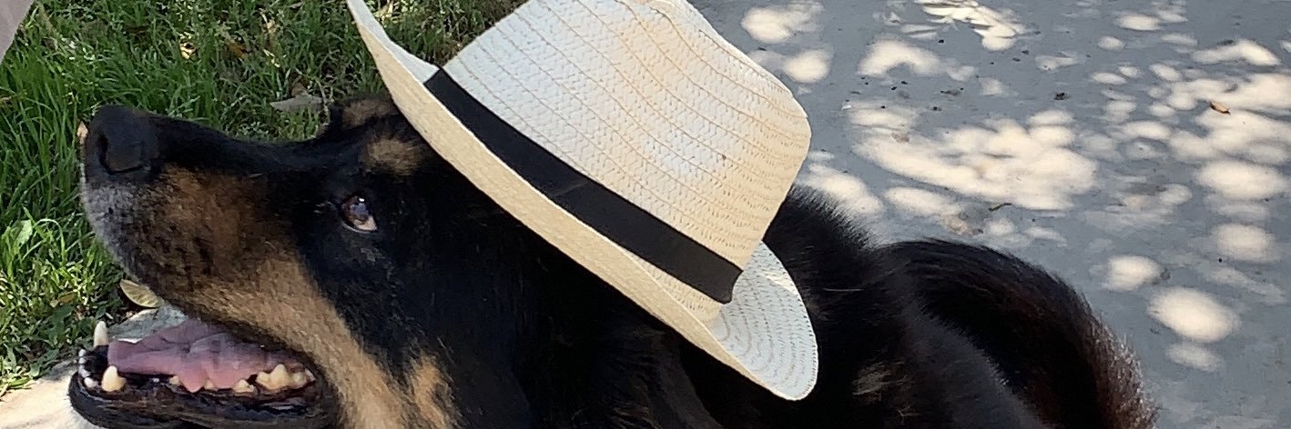 donnieque_'s profile banner image