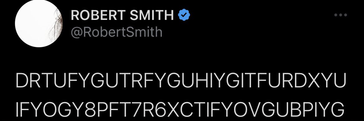 Ash アシュリーFree🇵🇸 banner