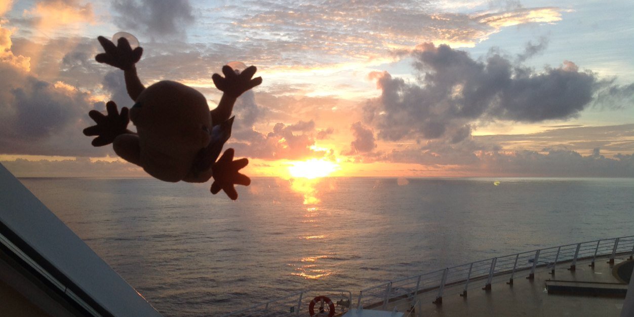 Mark O 🌵🇺🇦🌴🇬🇪🇨🇦🇪🇪 banner