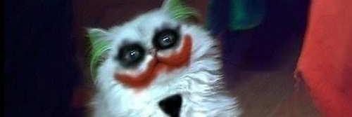 Fun Fun Funny777 banner