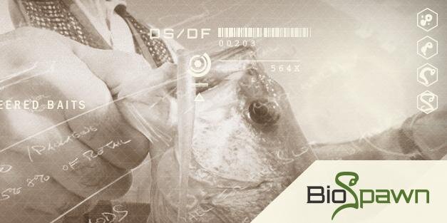 BioSpawn banner