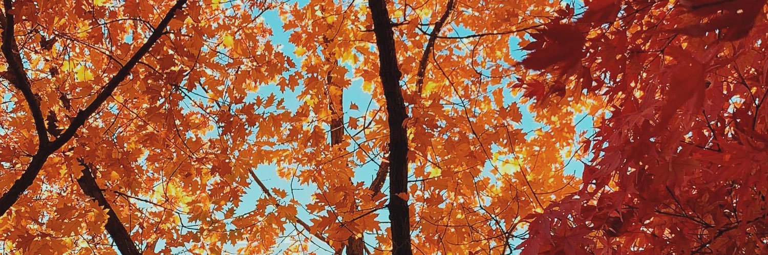 CPadian's profile banner image