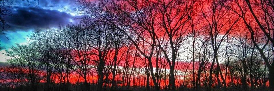 ❤Auntie Doodles❤ banner