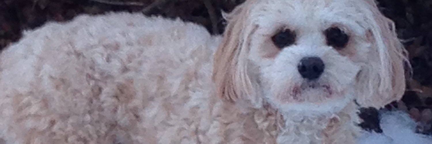 jels46_el's profile banner image