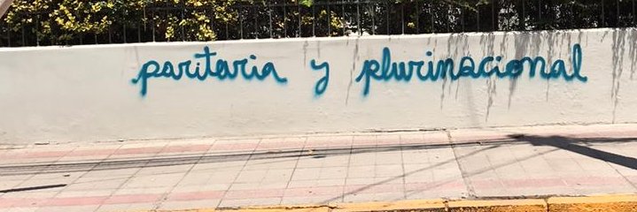 Camila Gatica Mizala's banner
