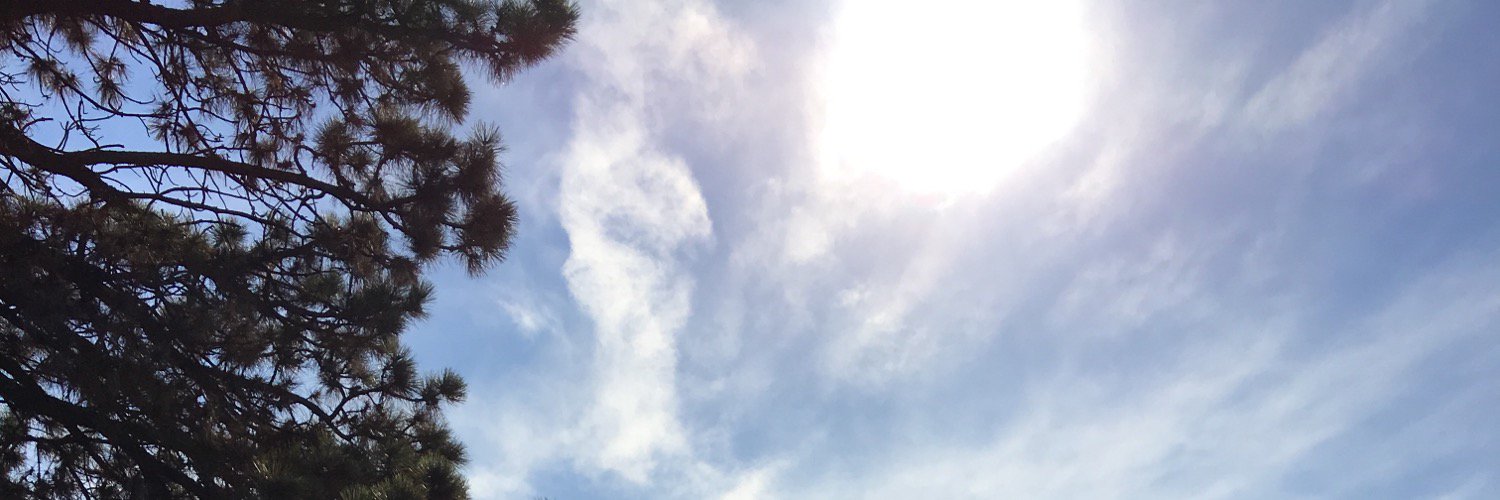 anaplante's profile banner image