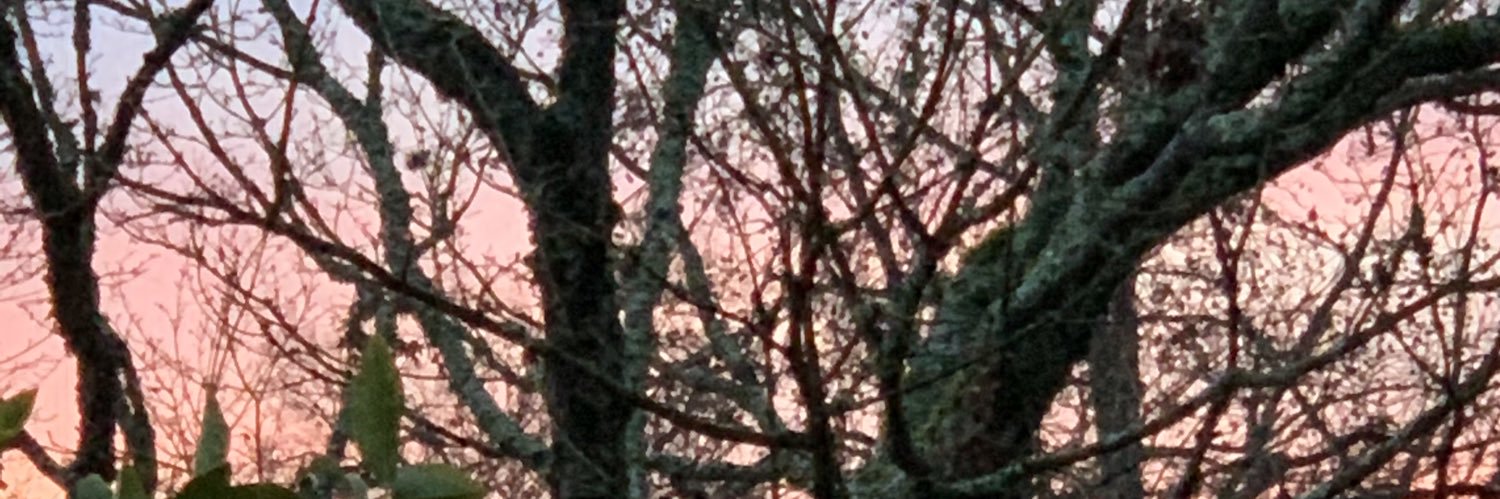 Sandra Lowe ☮️ banner