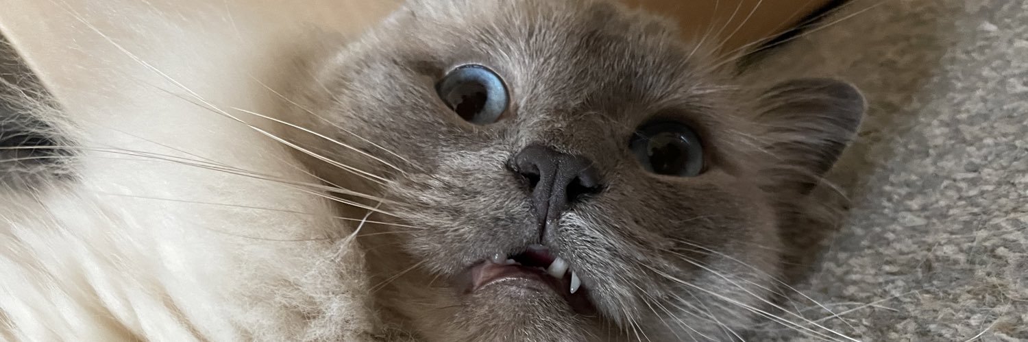 skafazz's profile banner image