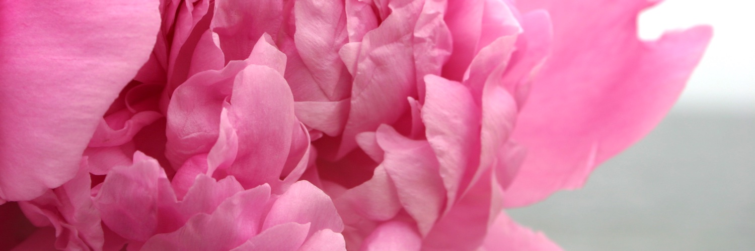 WhyGreenBlue's profile banner image