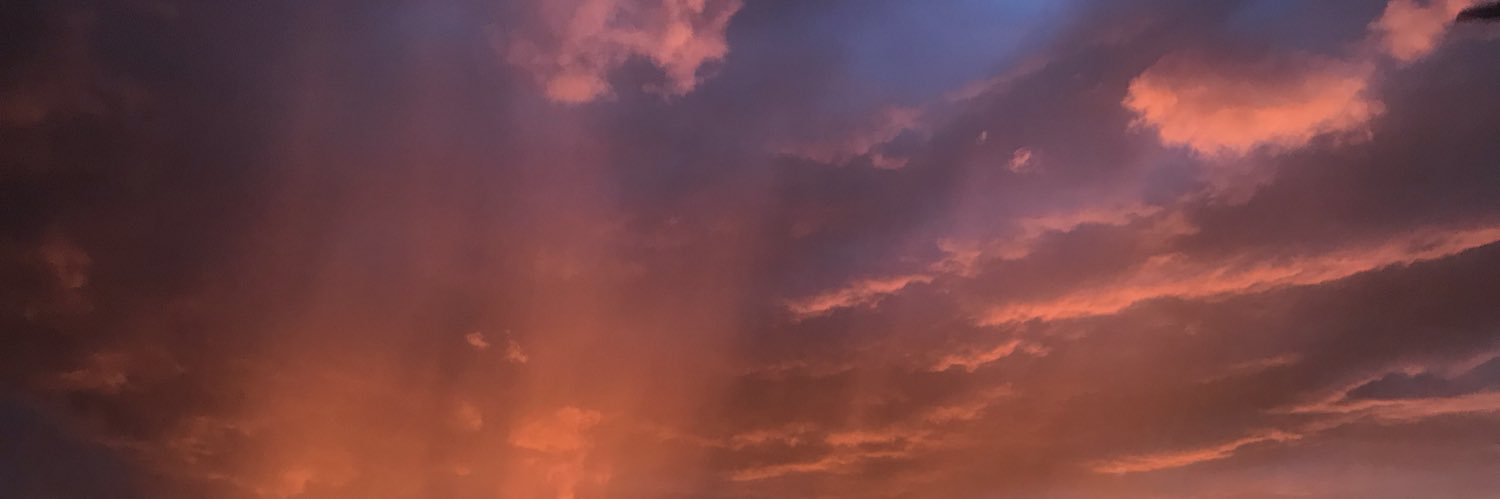 anna_erdmann's profile banner image