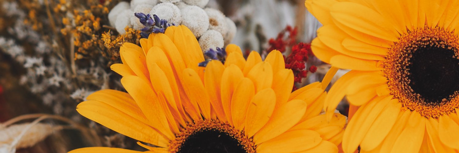 pancharanda's profile banner image