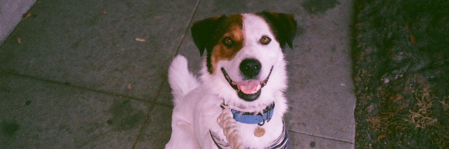 David Iserson 🆗 banner