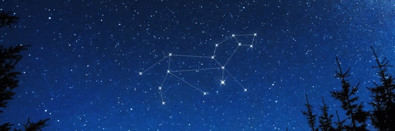 marleynne's profile banner image