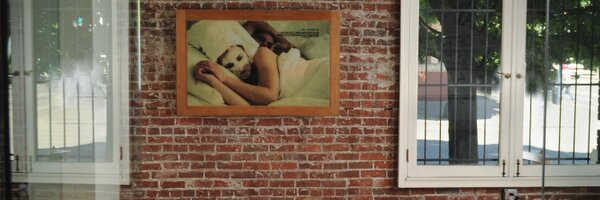 ddstile Profile Banner