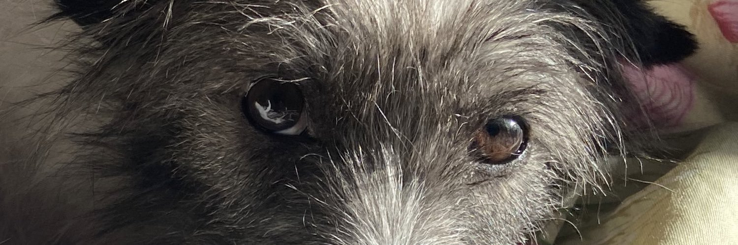 AntoGrossi's profile banner image