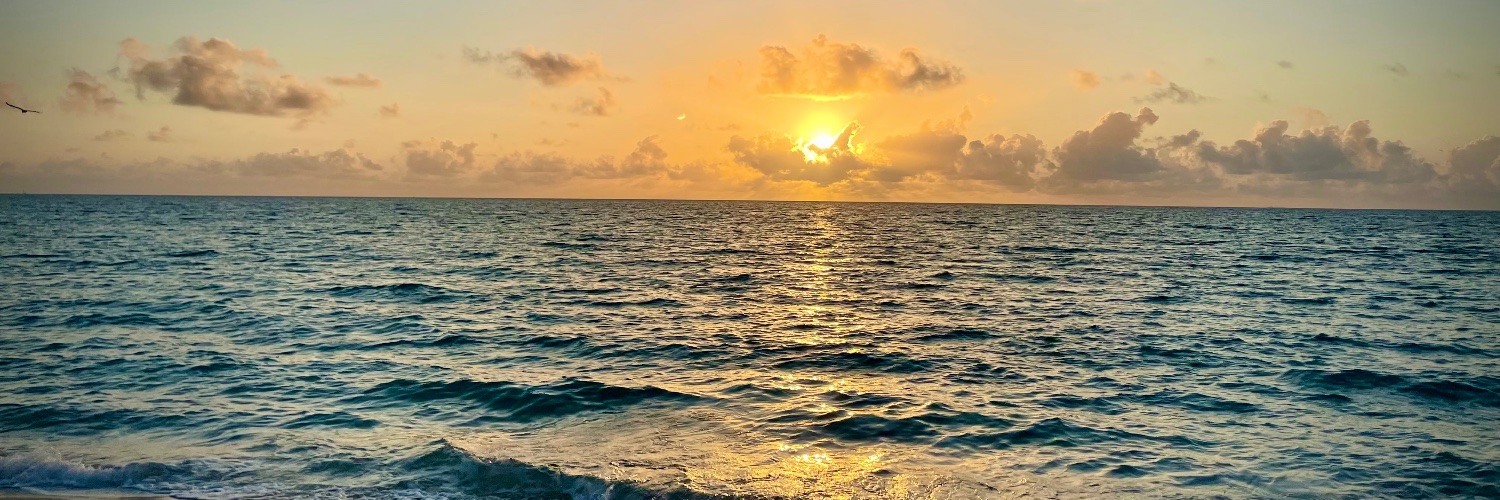 lisadrose's profile banner image