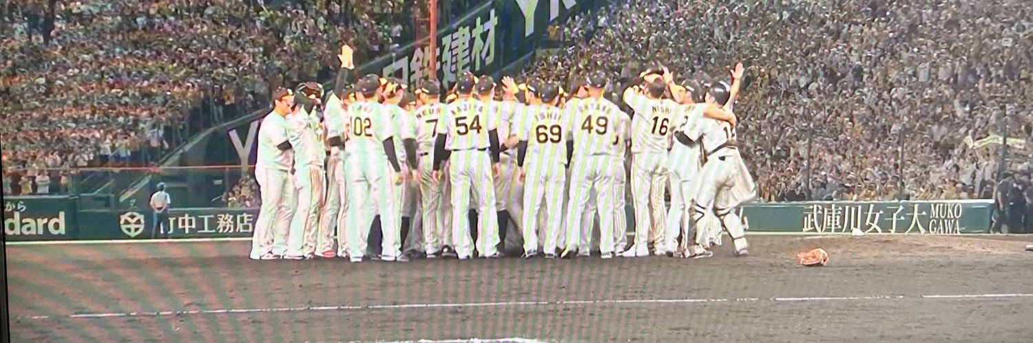 やす日向虎 banner