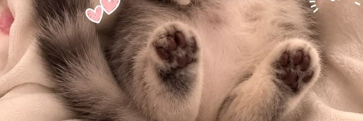 aliathompsvly's profile banner image