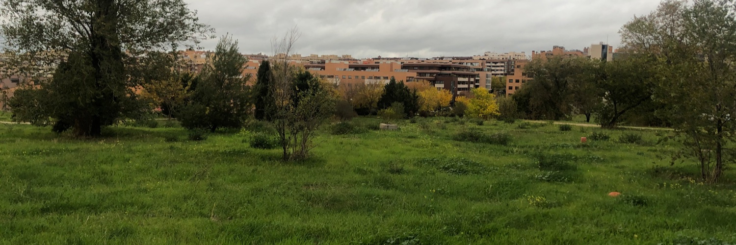 R. Montecarmelo banner