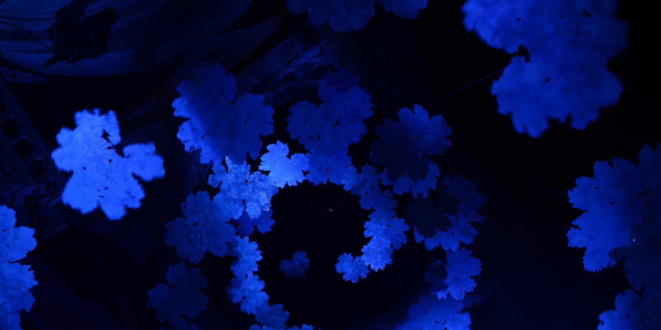 Lou_Broglie's profile banner image