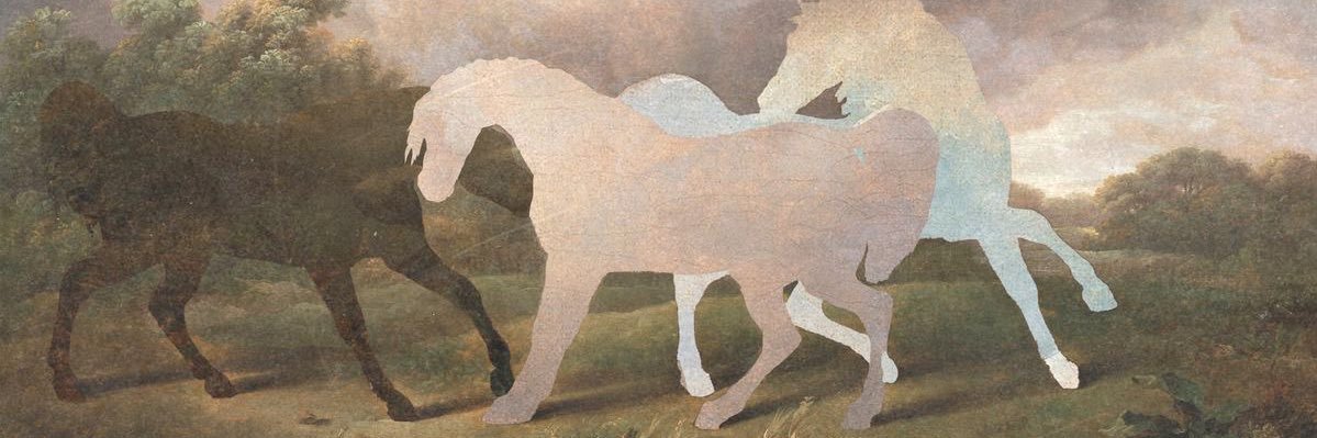 berryclaudy's profile banner image