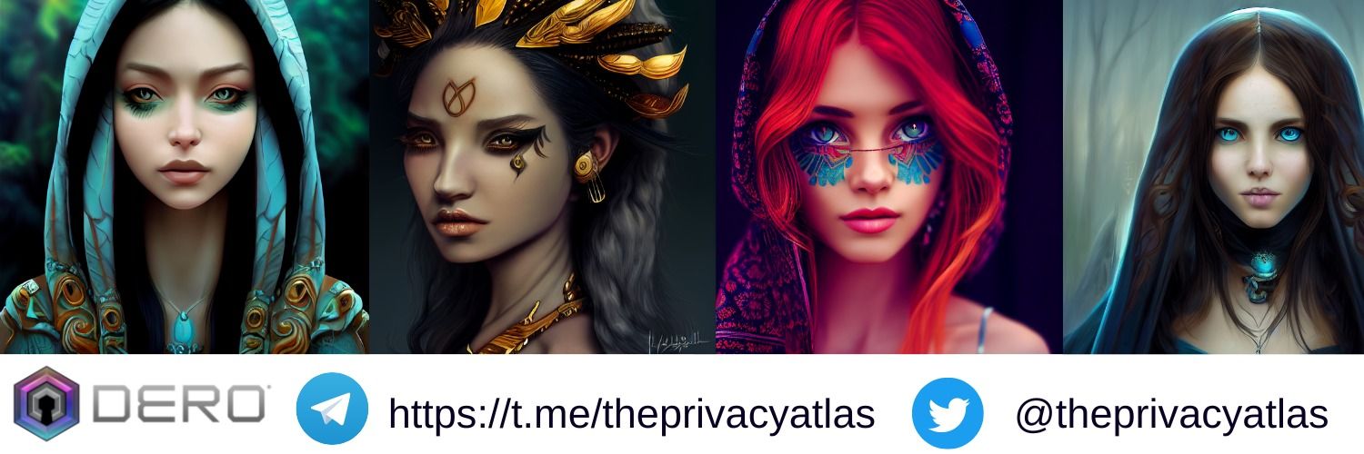 ThePrivacyAtlas banner