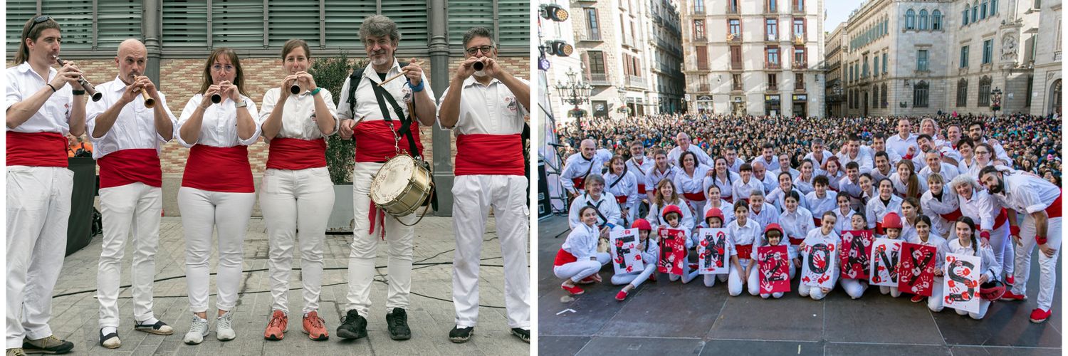 Falcons de Barcelona banner