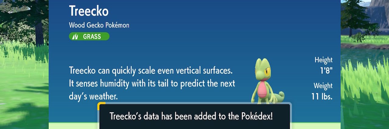 TrendyTreecko's profile banner image