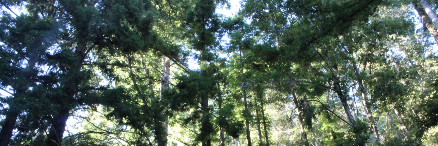 oe_costa's profile banner image