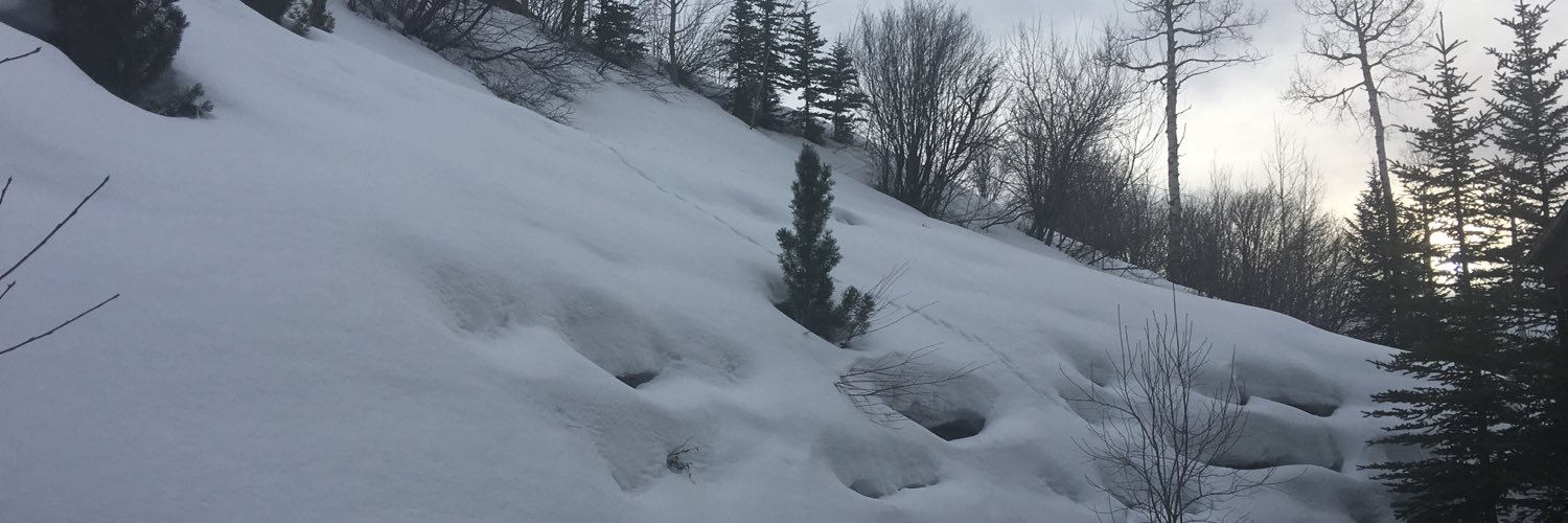 Gabyfsal's profile banner image