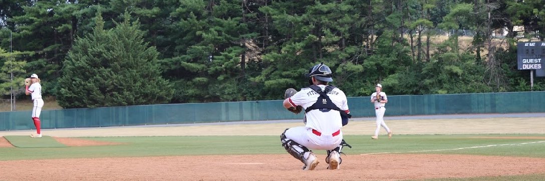 B Pitscheneder banner