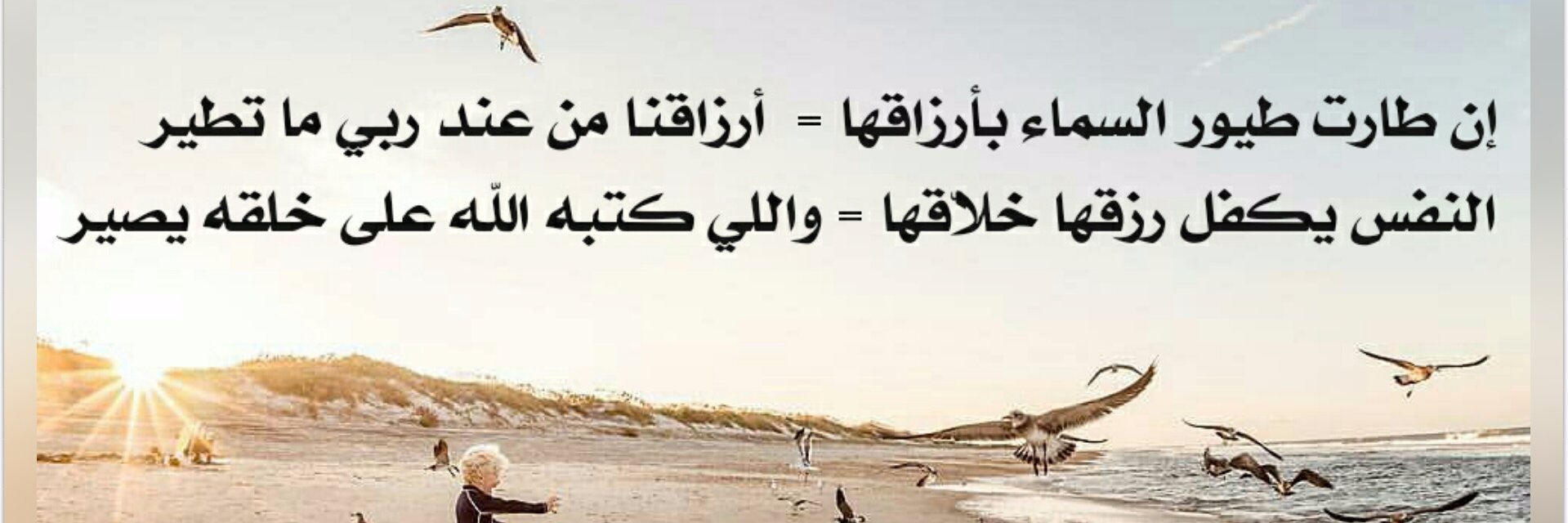ofouq_d's profile banner image