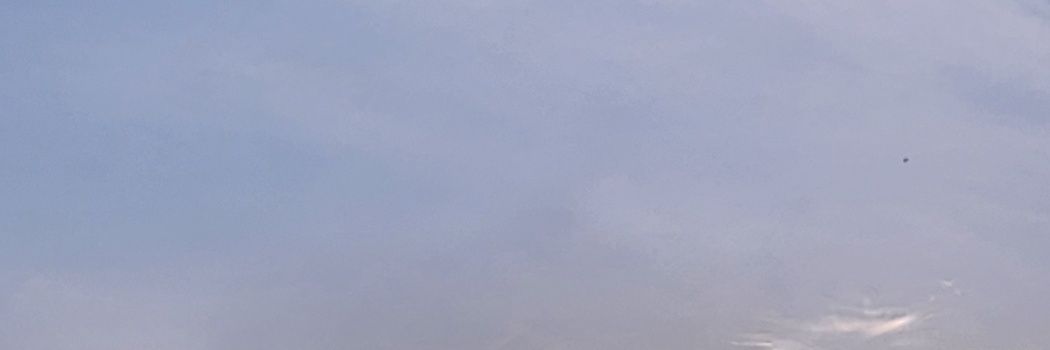 삼성라이온즈우승기원 banner