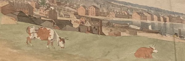 ncushing12 Profile Banner