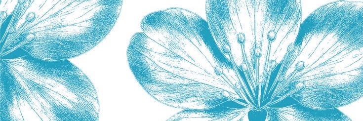 jasa edit video payment akhir | 100+ testi banner