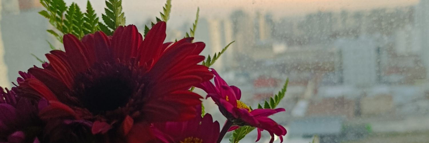 Trichxs's profile banner image